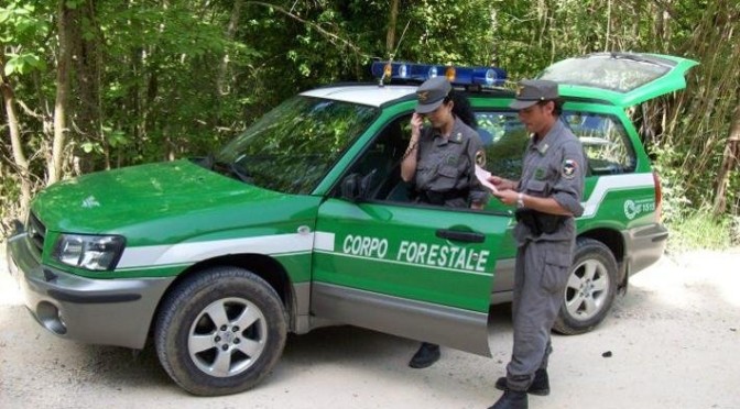 corpo forestale