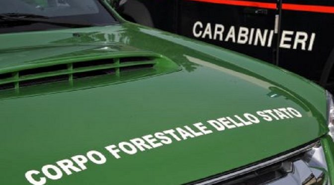 concorso tenenti carabinieri forestale