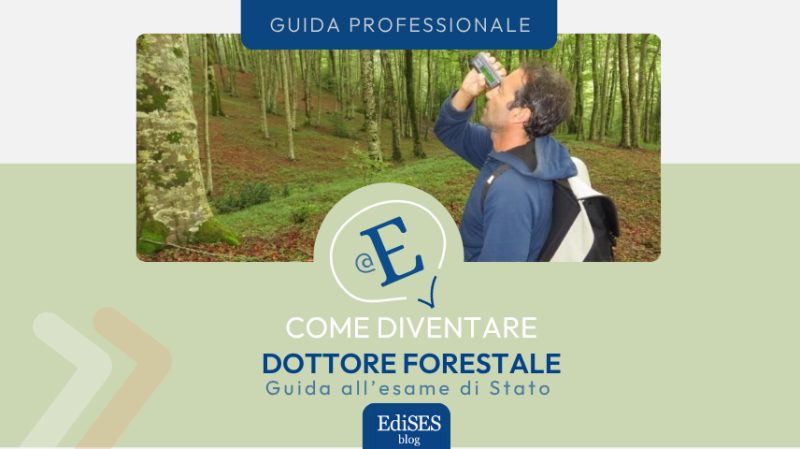 come diventare dottore forestale