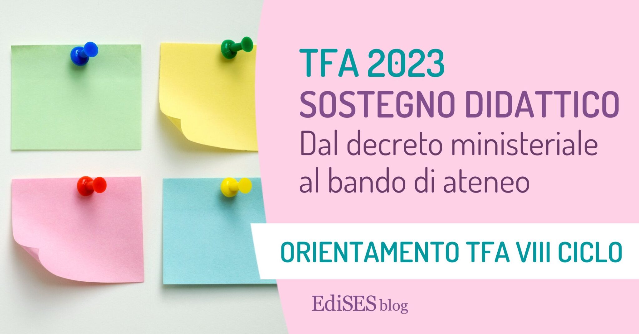 TFA Sostegno Didattico 2023: dal decreto al bando di ateneo